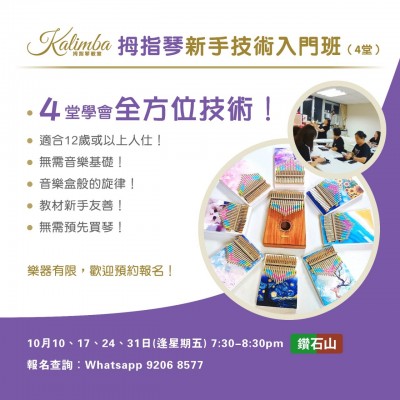 拇指琴新手技術入門班