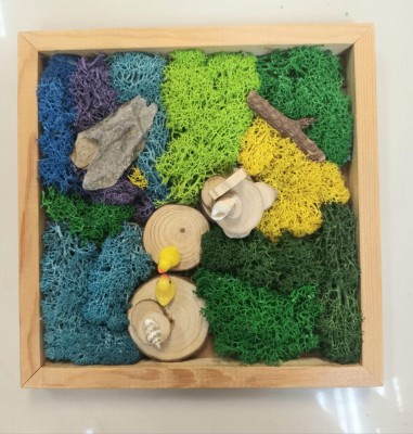永生苔蘚畫工作坊